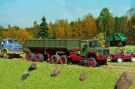 544a Magi 310 D 26 AS